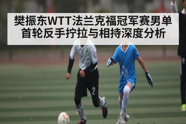 樊振东WTT法兰克福冠军赛男单首轮反手拧拉与相持深度分析