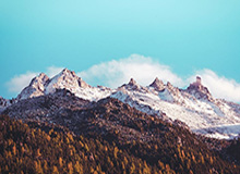 开云在线-鲁能：李霄鹏不再担任俱乐部副总经理、技术总监